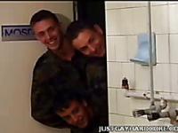 Gays