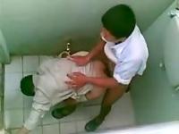 Gays