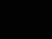 Sarışın