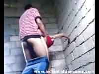 Amateur